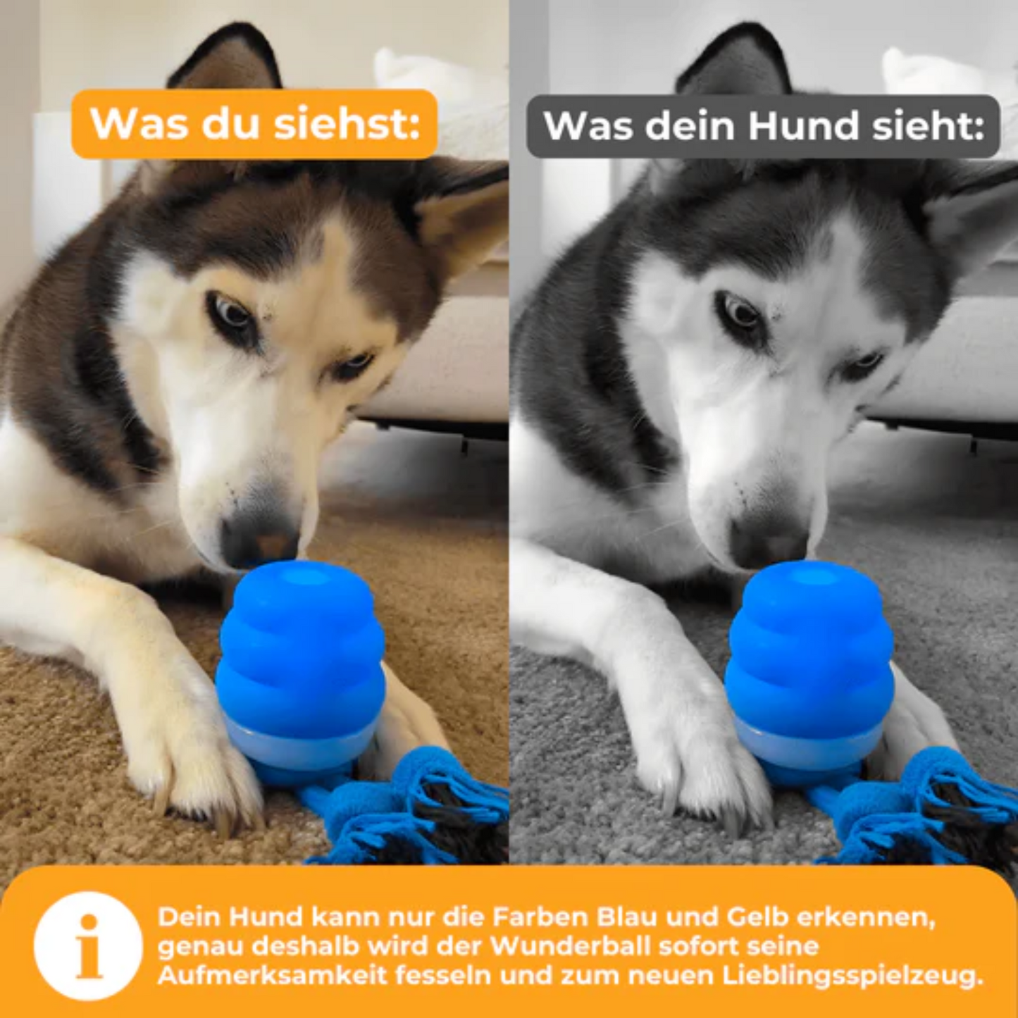 Wunderball (NEU)