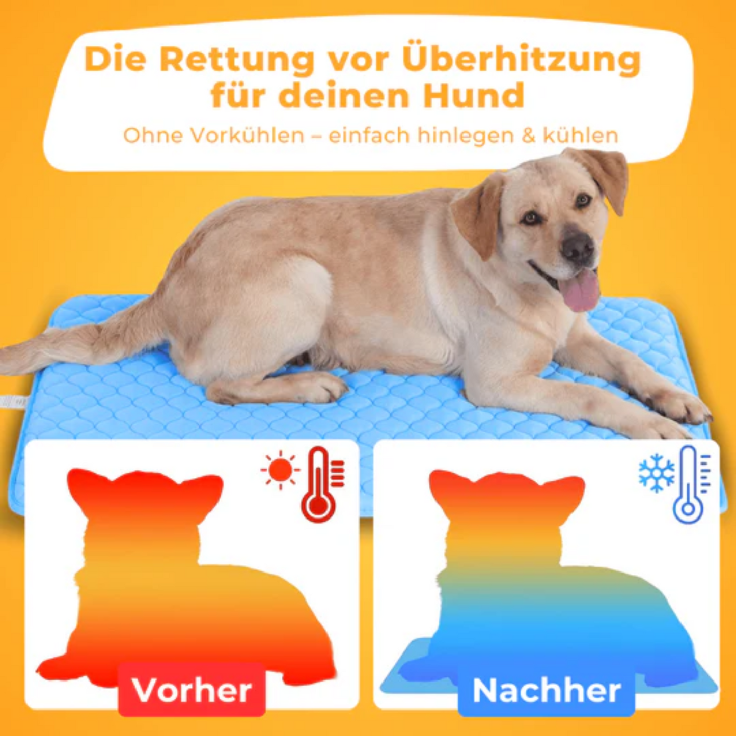 PfotenFrost Kühlmatte