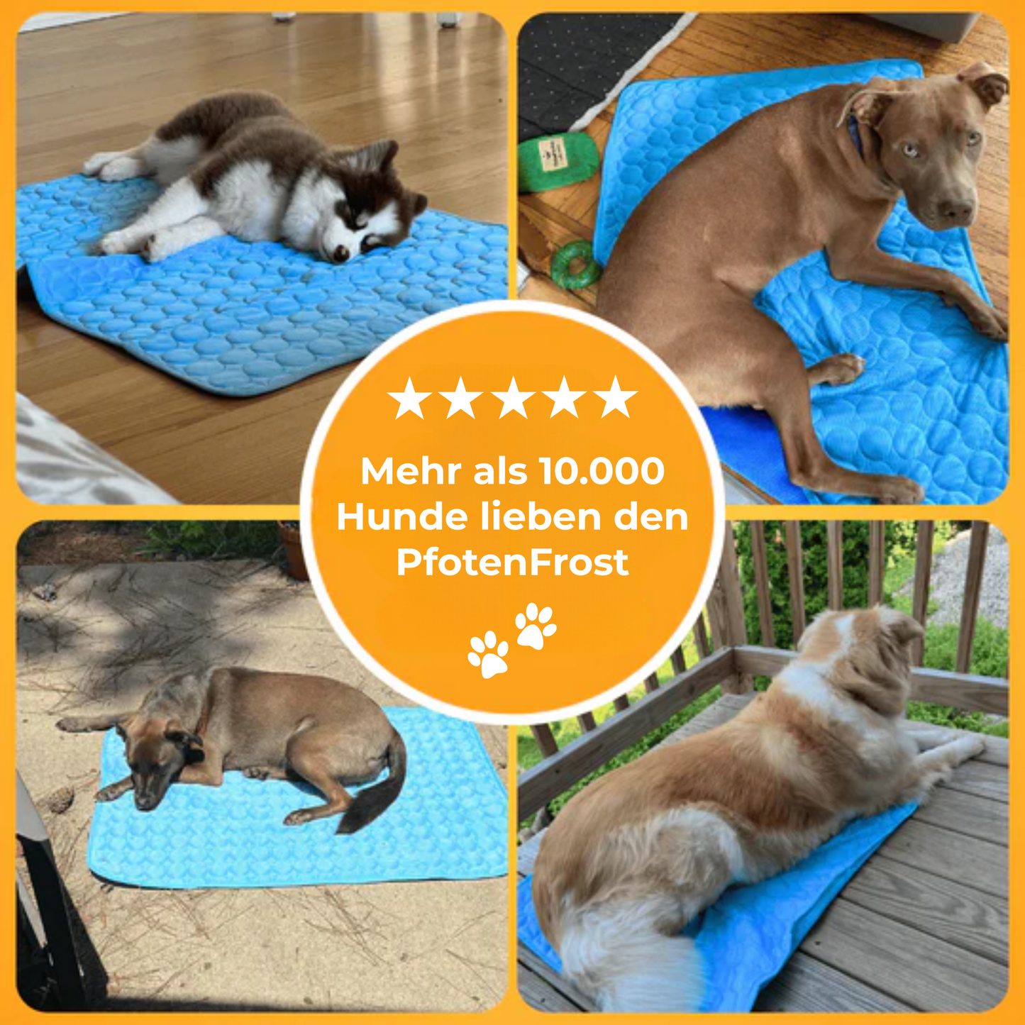 PfotenFrost Kühlmatte