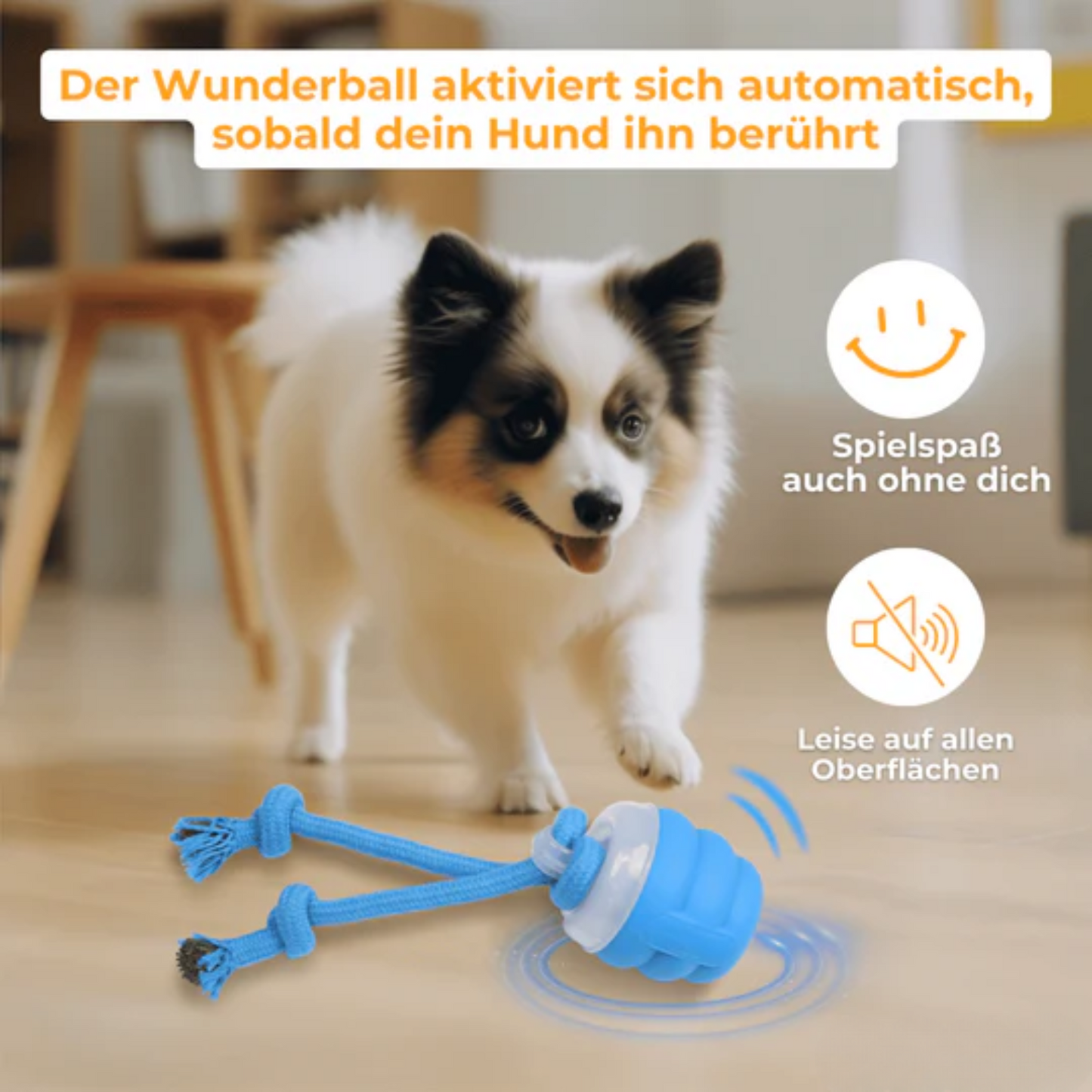 Wunderball (NEU)