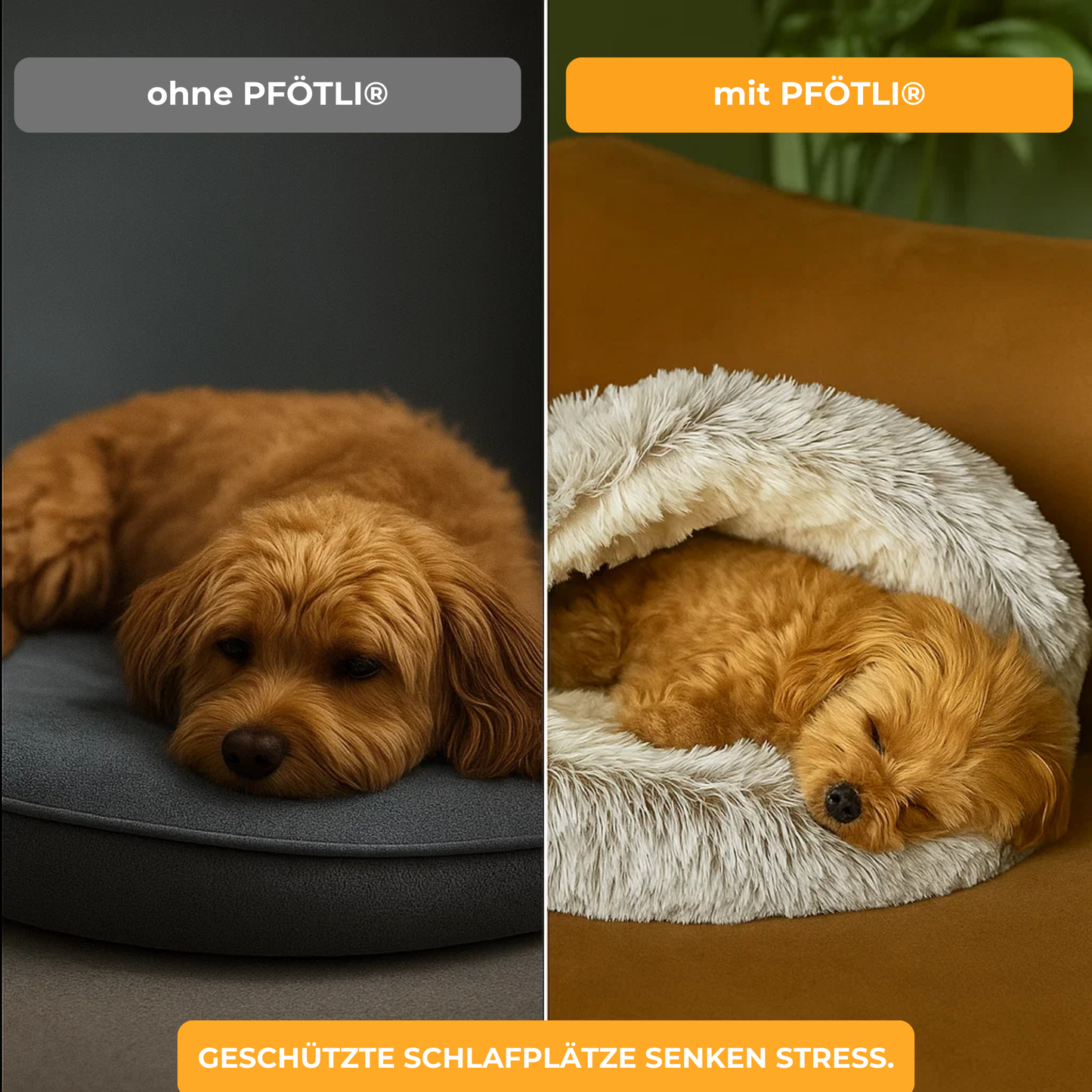 PFÖTLI® Kuschelhöhle