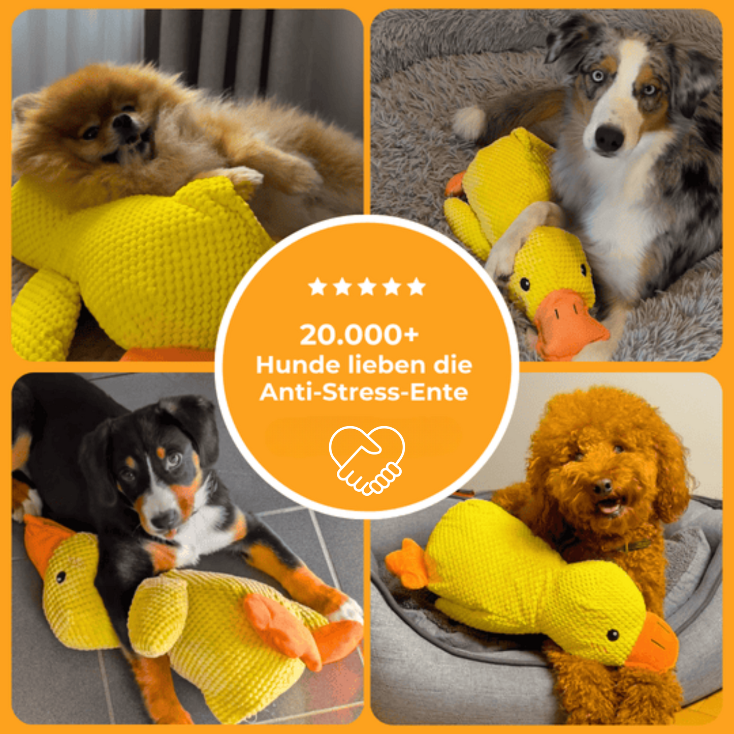 Anti-Stress Ente für Hunde