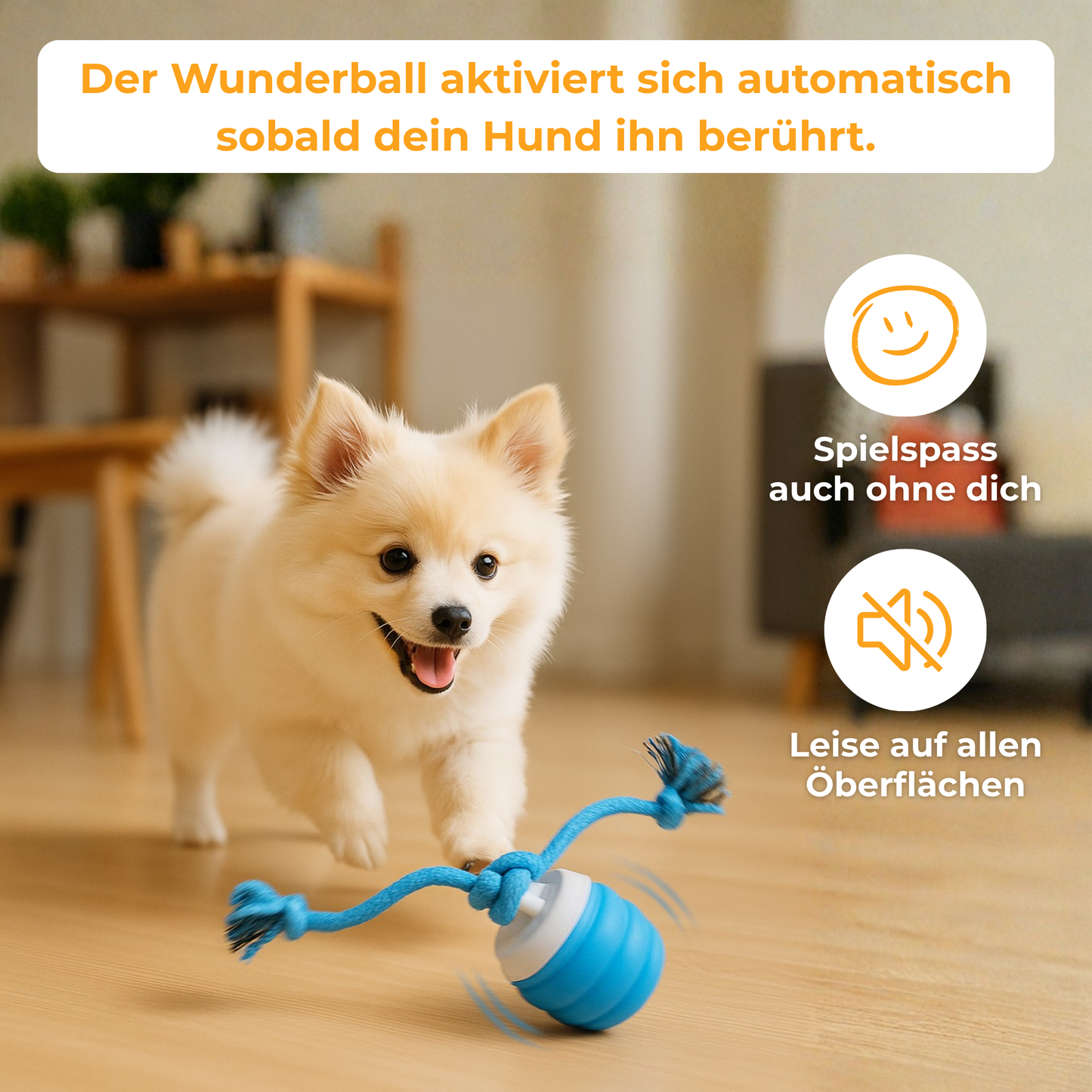 Wunderball