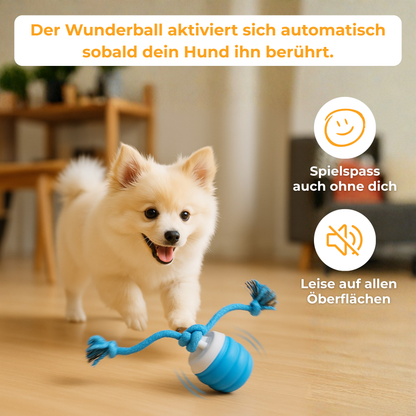 Wunderball