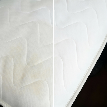 HygienicSteam-Pro REDHUT