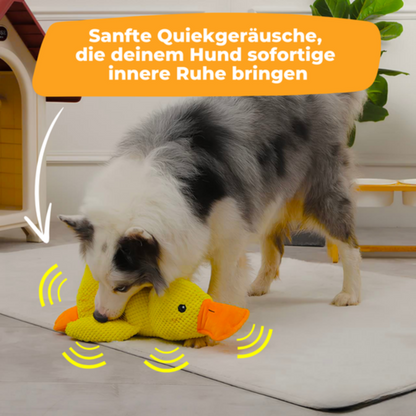 Anti-Stress Ente für Hunde