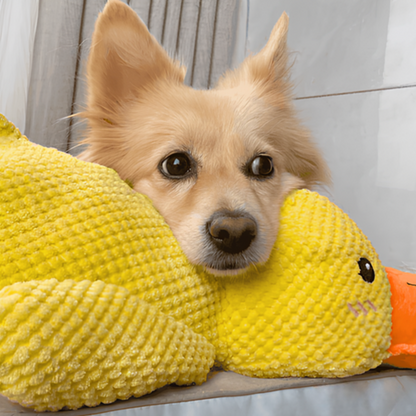 Anti-Stress Ente für Hunde