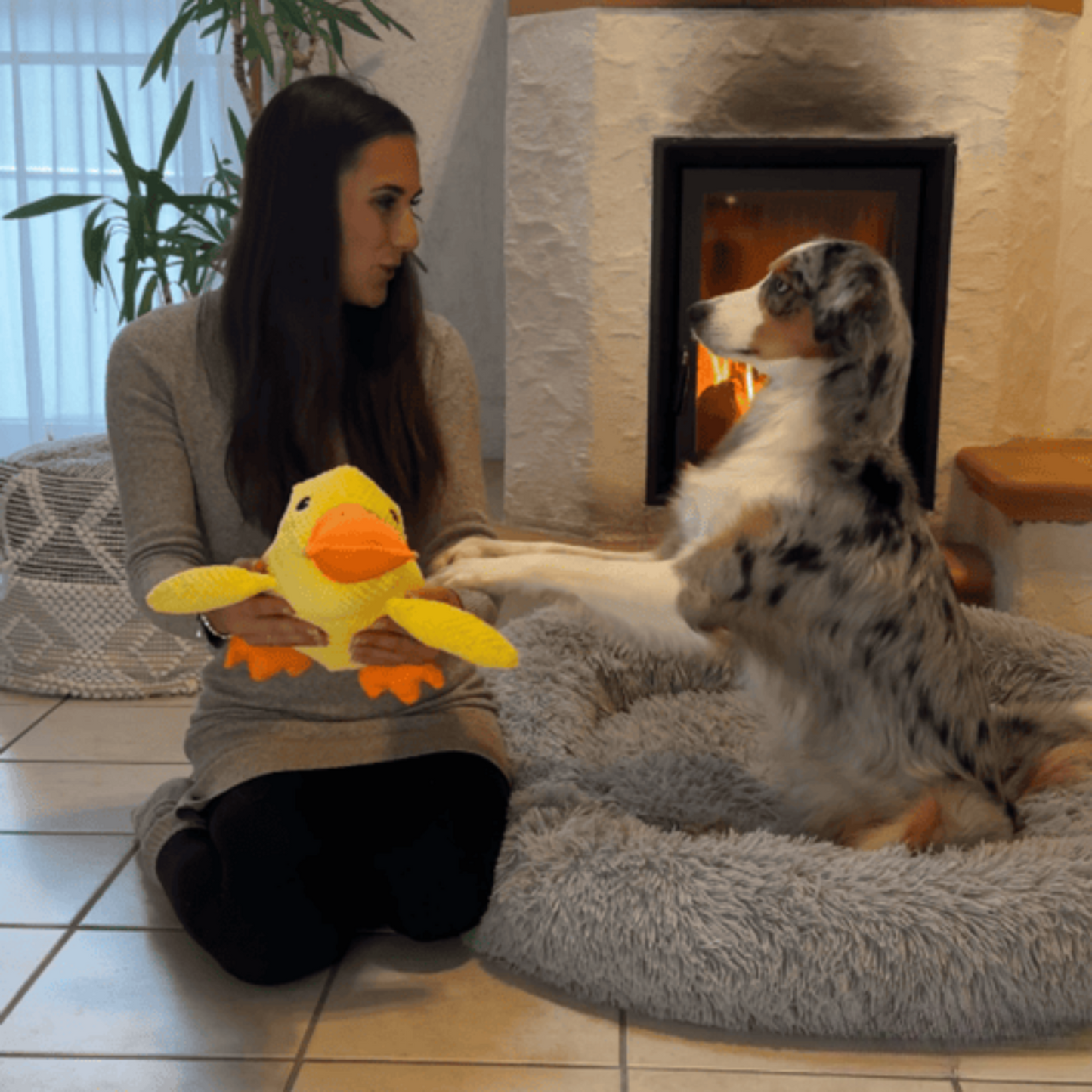 Anti-Stress Ente für Hunde