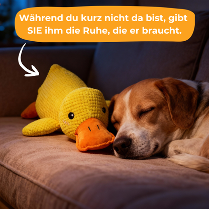 Anti-Stress Ente