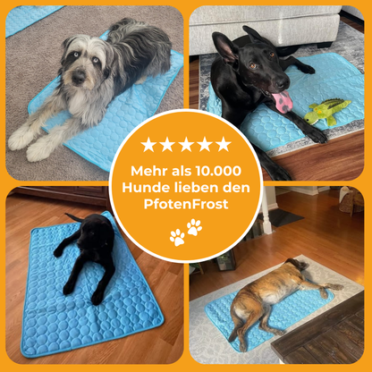 PfotenFrost Kühlmatte
