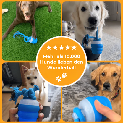 Wunderball (NEU)